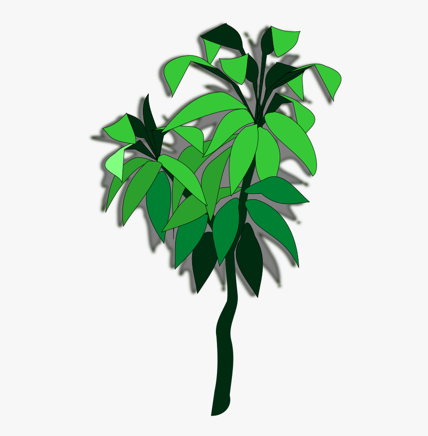 Plant-06a - Cassava Tree Png, Transparent Png, Free Download