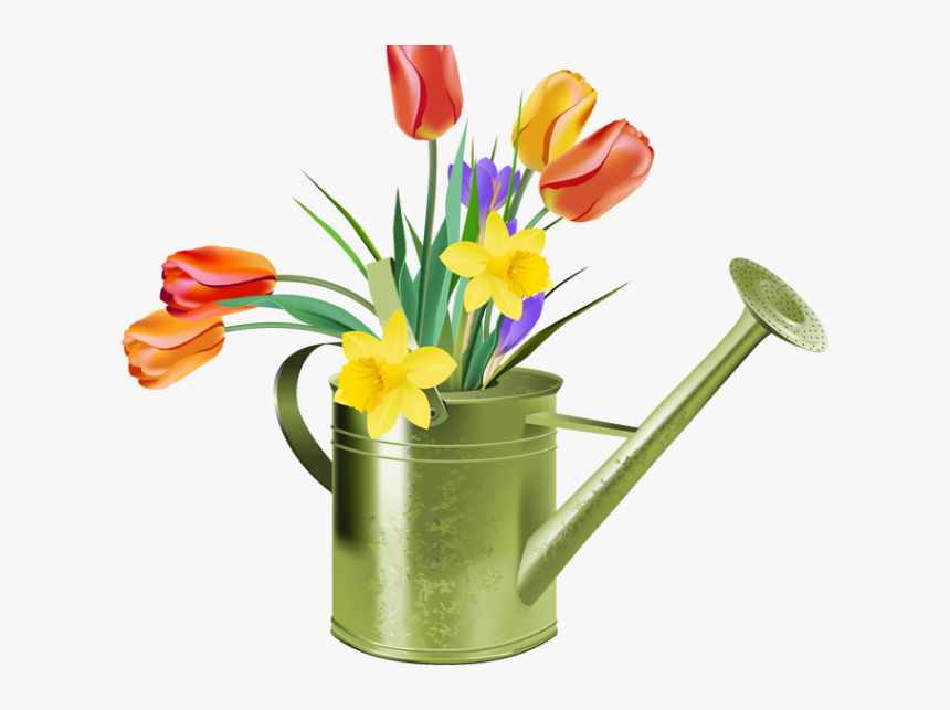 Free Tulip Cliparts - Flowers In Watering Can Clipart, HD Png Download, Free Download