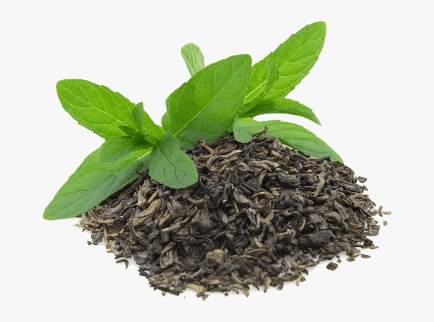 Leaves clipart green tea leaf green tea leaves png transparent png