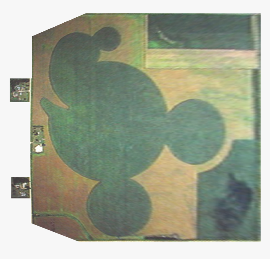 Download A Kmz Version Version For Google Earth - Mickey Mouse Cornfield, HD Png Download, Free Download