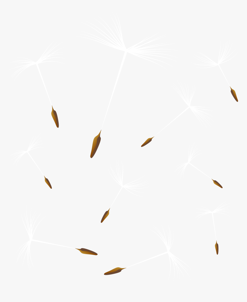 Dandelions Png , Png Download, Transparent Png, Free Download