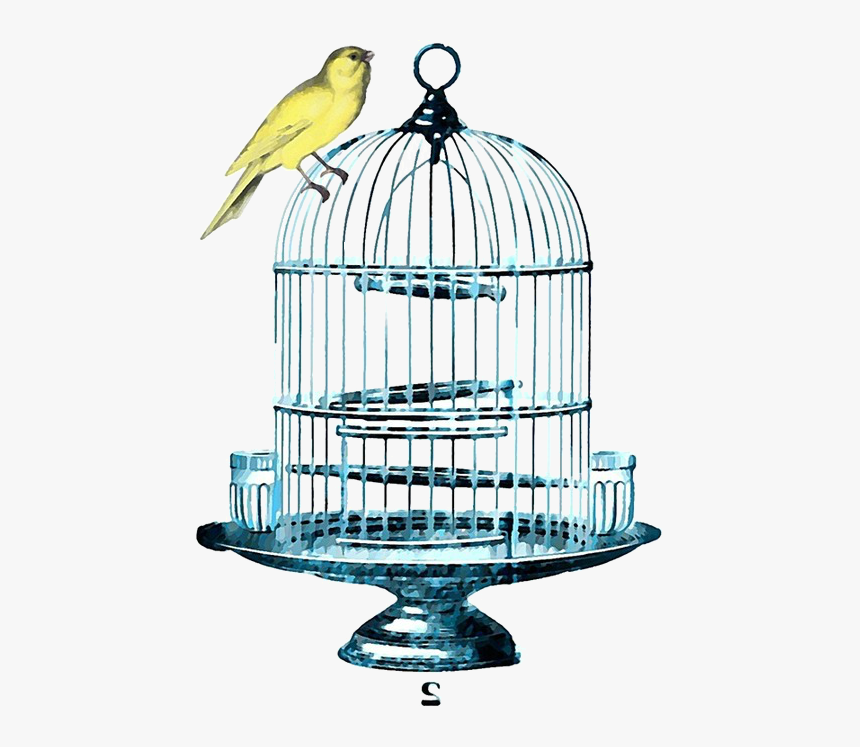 Birdcage Watercolor , Png Download - Birdcage, Transparent Png, Free Download