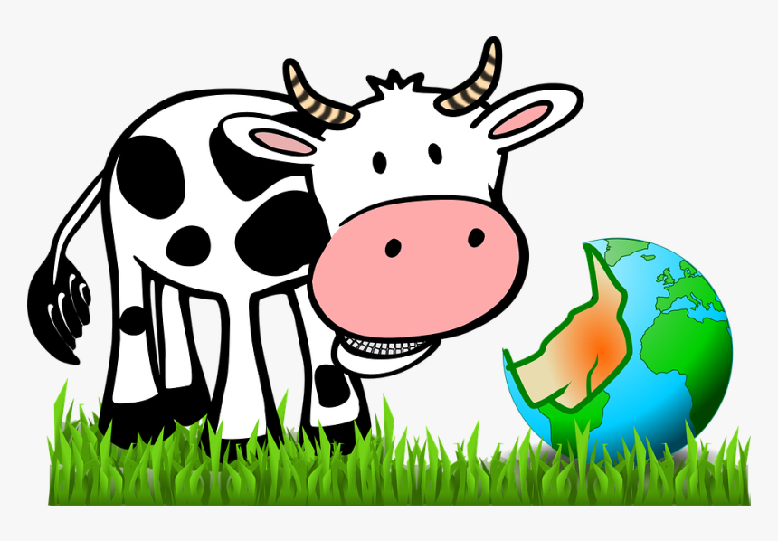 Cow Clipart No Background, HD Png Download, Free Download