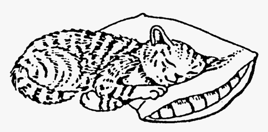 Transparent Sleeping Cat Png - Line Art, Png Download, Free Download