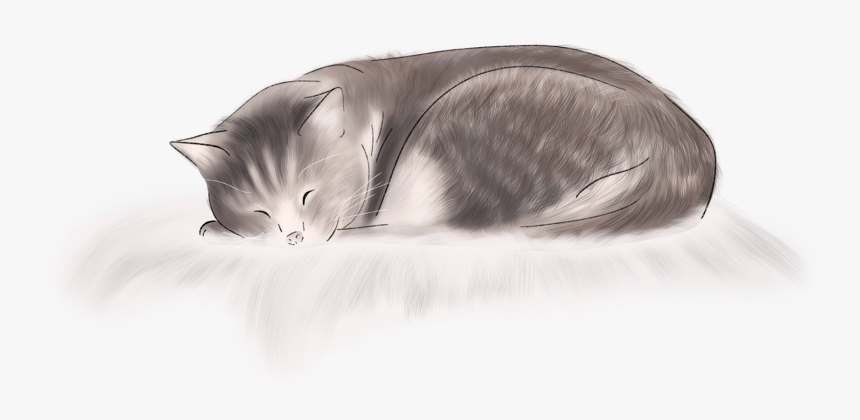 #cat #kitten #sleeping #sleepingcat #fluffy #relax - Domestic Short-haired Cat, HD Png Download, Free Download