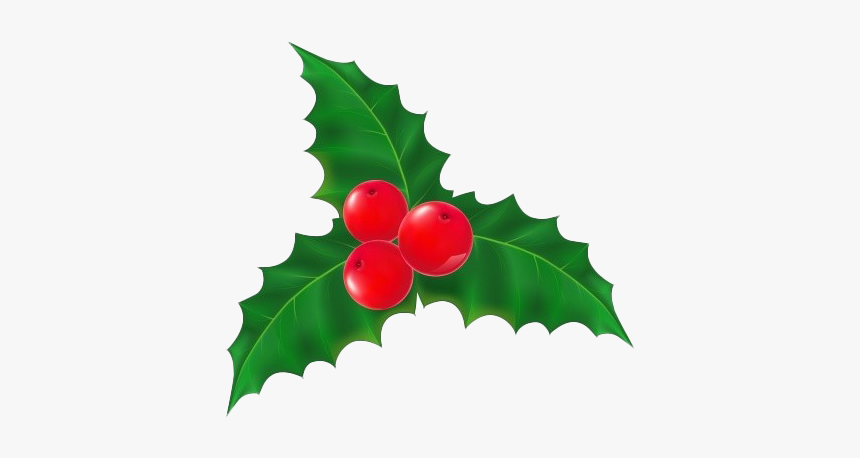 Mistletoe Transparent Png - American Holly, Png Download, Free Download