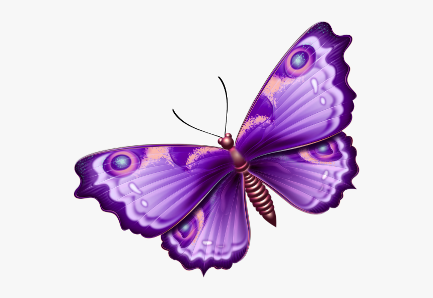 Tube Png Papillon Rose, Transparent Png, Free Download