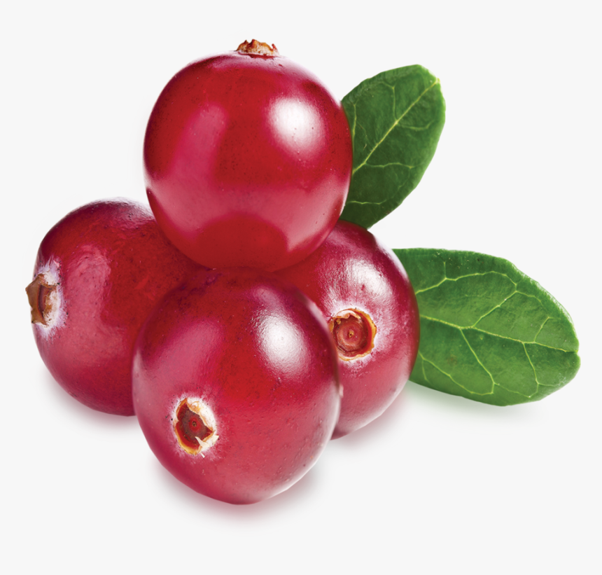 Cranberry Lamberts , Png Download - Cranberry White Background, Transparent Png, Free Download
