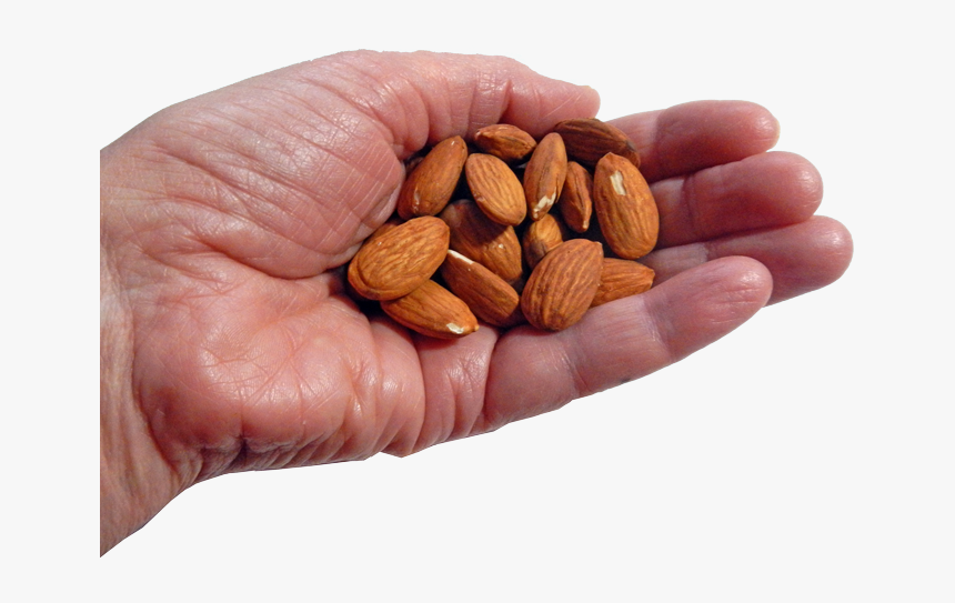 Enjoy A Healthy Handful Of Nuts - Ounce Of Nuts, HD Png Download, Free Download