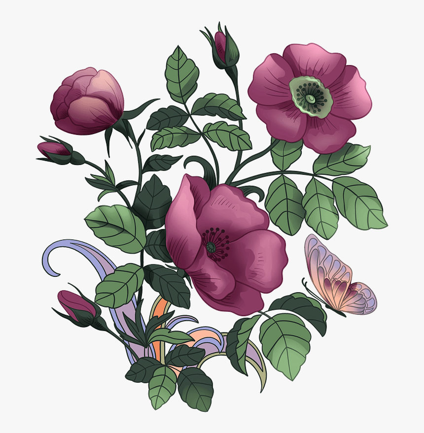 Purple Poppies Clipart - Floribunda, HD Png Download, Free Download