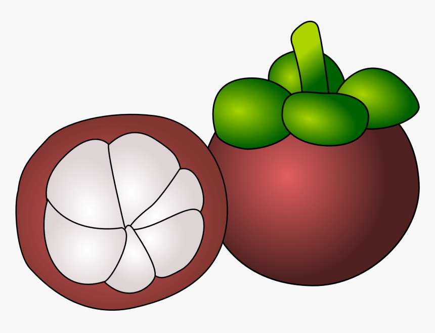 Purple Mangosteen Thai Cuisine Cartoon Food Drawing - Mangosteen Clipart, HD Png Download, Free Download