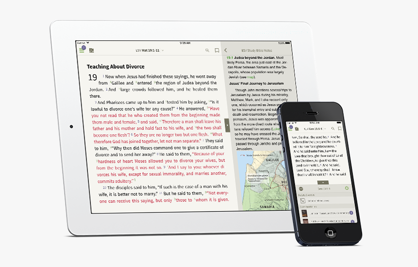 The Olive Tree Bible App - Iphone, HD Png Download, Free Download