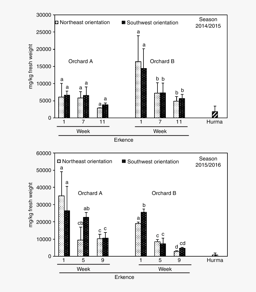 Screenshot, HD Png Download, Free Download