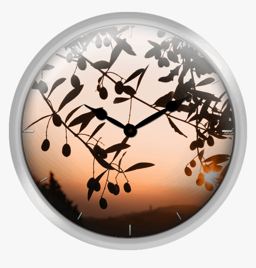 Italy Tuscany Olive Tree At Sunrise - Circle, HD Png Download, Free Download