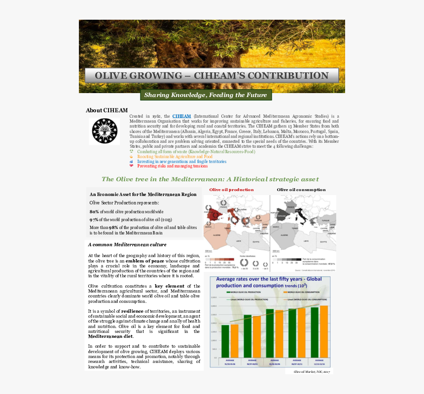 Brochure, HD Png Download, Free Download