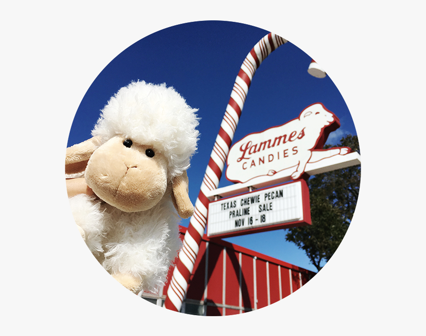 Lammie Selfie Plant - Livestock, HD Png Download, Free Download