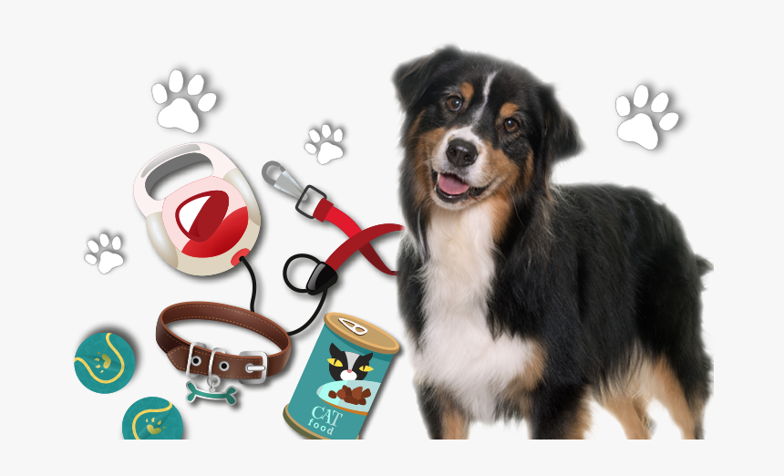 Bernese Mountain Dog, HD Png Download, Free Download