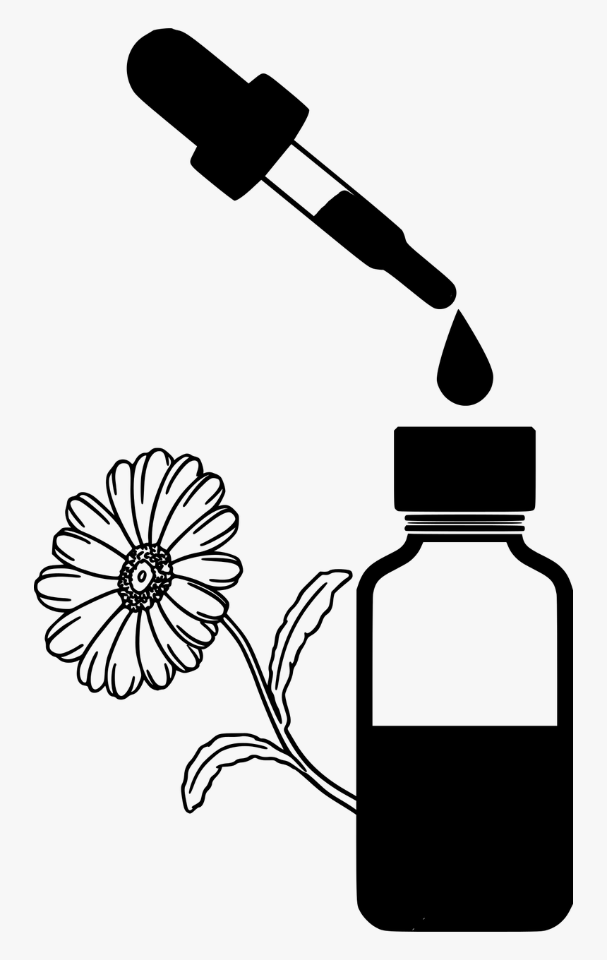 Essential Oil Bottle Clipart, HD Png Download, Free Download