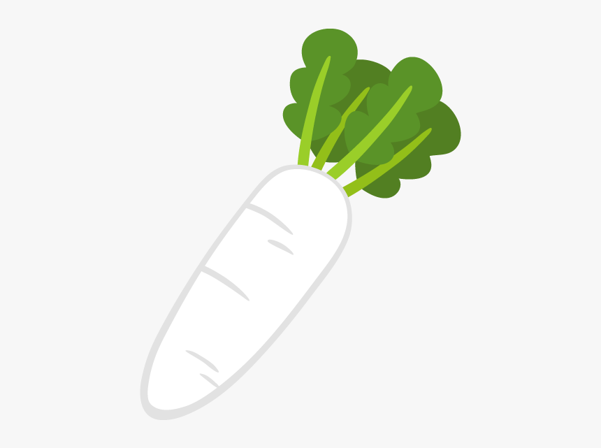 Daikon, HD Png Download, Free Download