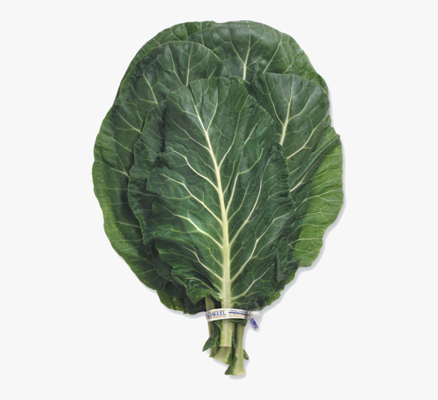 Collard Greens, HD Png Download, Free Download