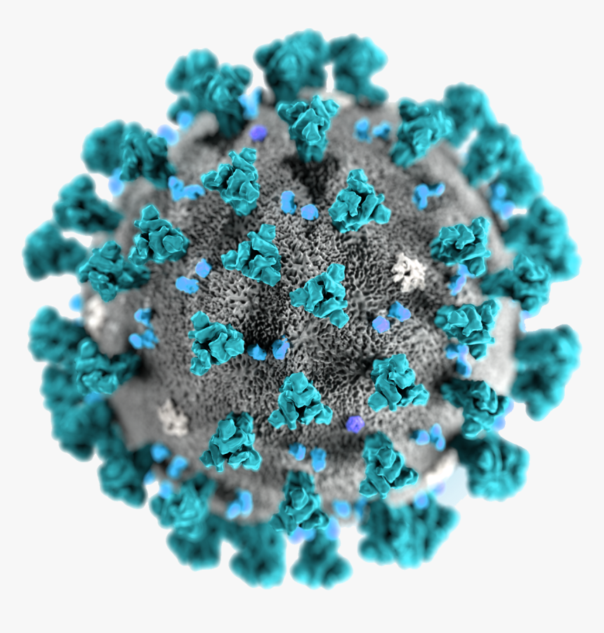 Coronavirus Disease Png Transparent Image - Coronavirus Png, Png Download, Free Download