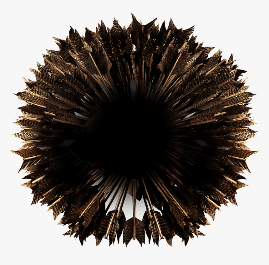 Sea Urchin , Png Download - Sea Urchin, Transparent Png, Free Download
