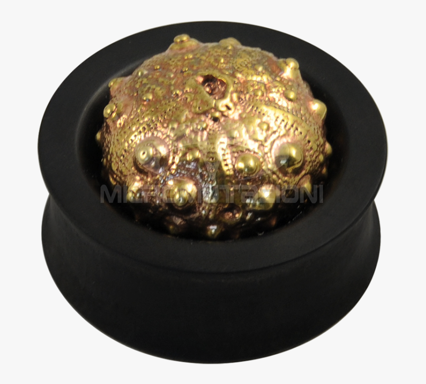 Ebony Plug With Brass Exoskeleton Sea Urchin Ear - Brass, HD Png Download, Free Download
