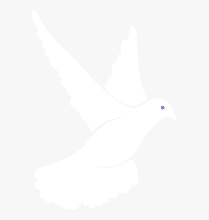 Stock Dove, HD Png Download, Free Download