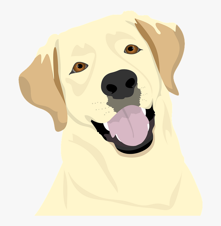 Labrador Clipart - Dog With Santa Hat Drawing, HD Png Download, Free Download