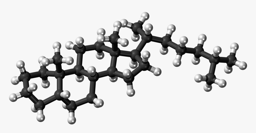 5beta-cholestane Molecule Ball - Cholesterol Ball And Stick Model, HD Png Download, Free Download