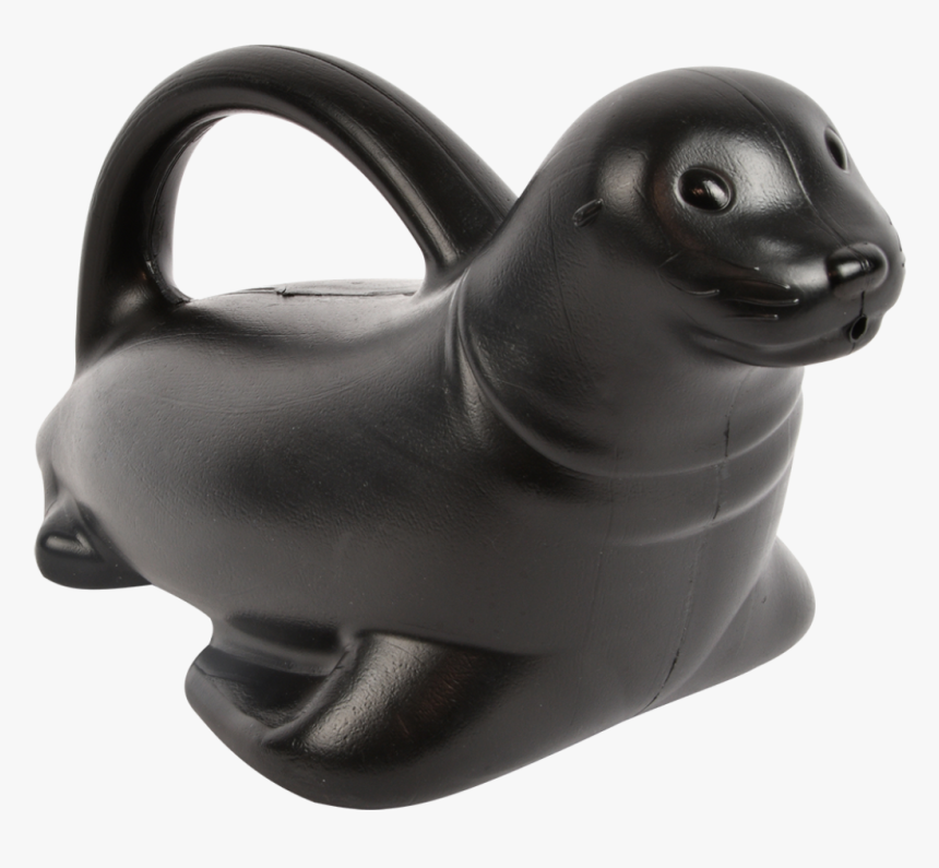 Watering Can Sea Lion - Watering Can, HD Png Download, Free Download