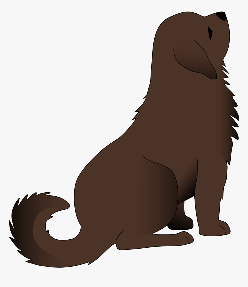 Sea Lion Clipart, HD Png Download, Free Download