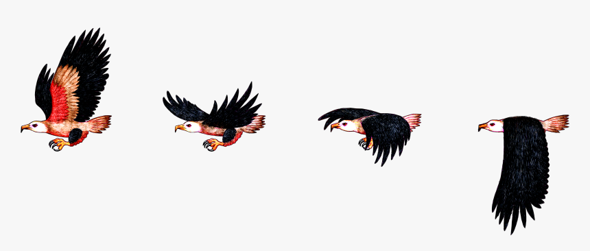 Hd Img, Flight Of The Eagle - Bird Sprite Sheet Png, Transparent Png, Free Download