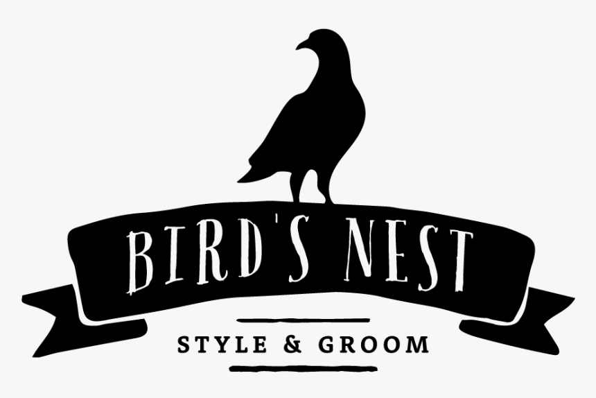 Bird Nest Png, Transparent Png, Free Download
