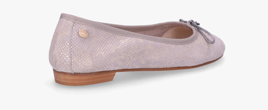 Ballet Flat, HD Png Download, Free Download