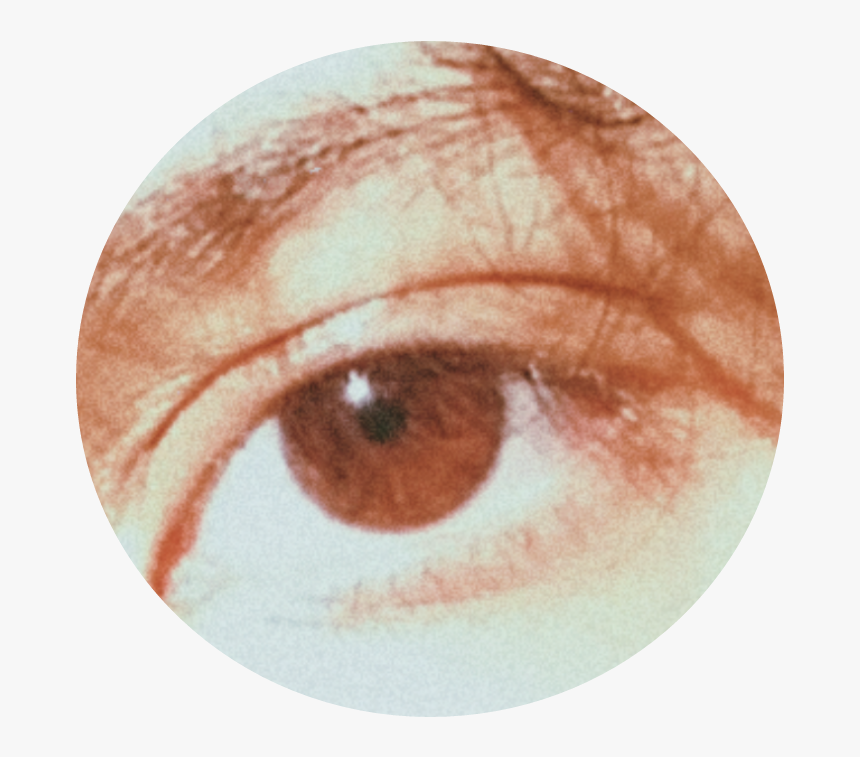 #eyes #tumblr #png #brown - Close-up, Transparent Png, Free Download