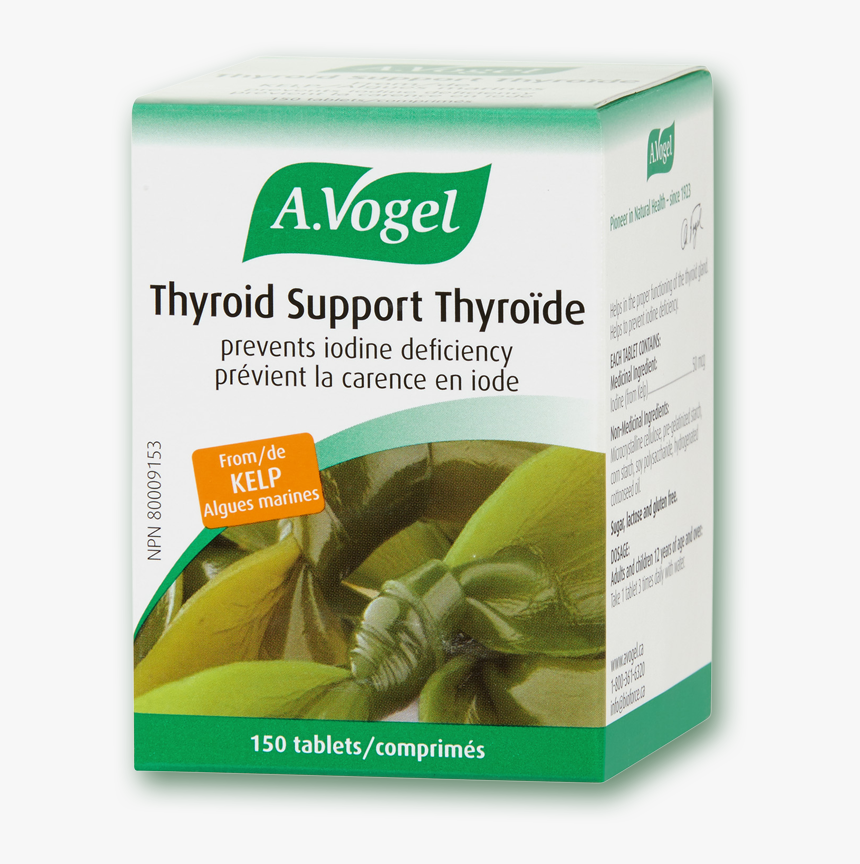 Vogel Thyroid Support Iodine Deficiency - C Est Quoi L Iode, HD Png Download, Free Download