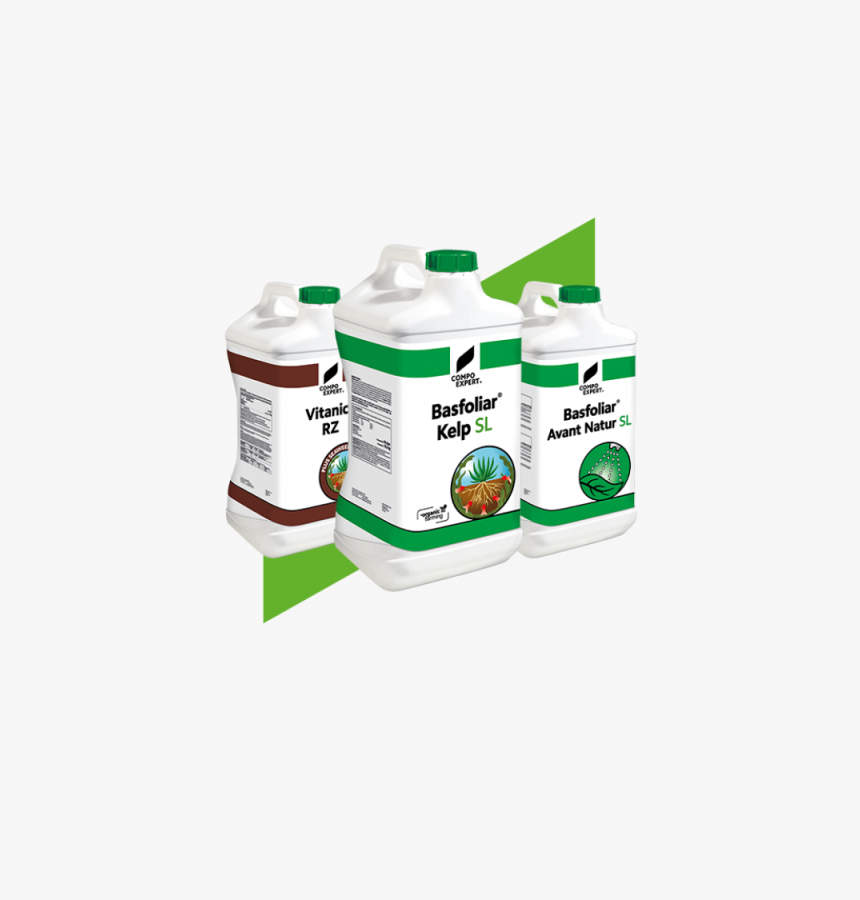 Acrylic Paint, HD Png Download, Free Download