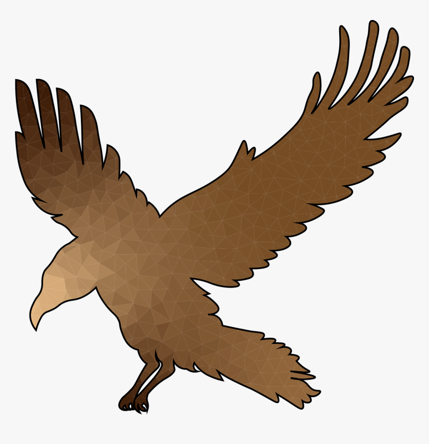 Buzzard, HD Png Download, Free Download