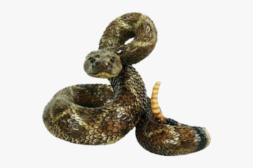 Image - Rattlesnake Statue, HD Png Download, Free Download