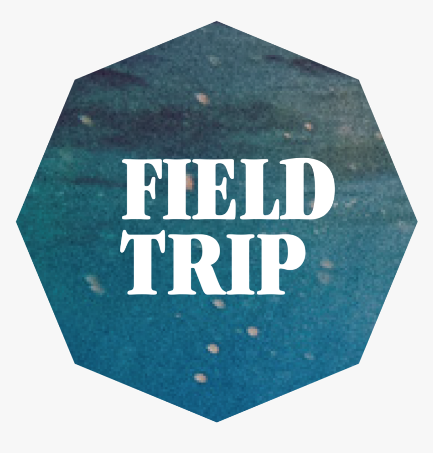 Follow Photo Field Trip On Twitter And Instagram If - Umbrella, HD Png Download, Free Download