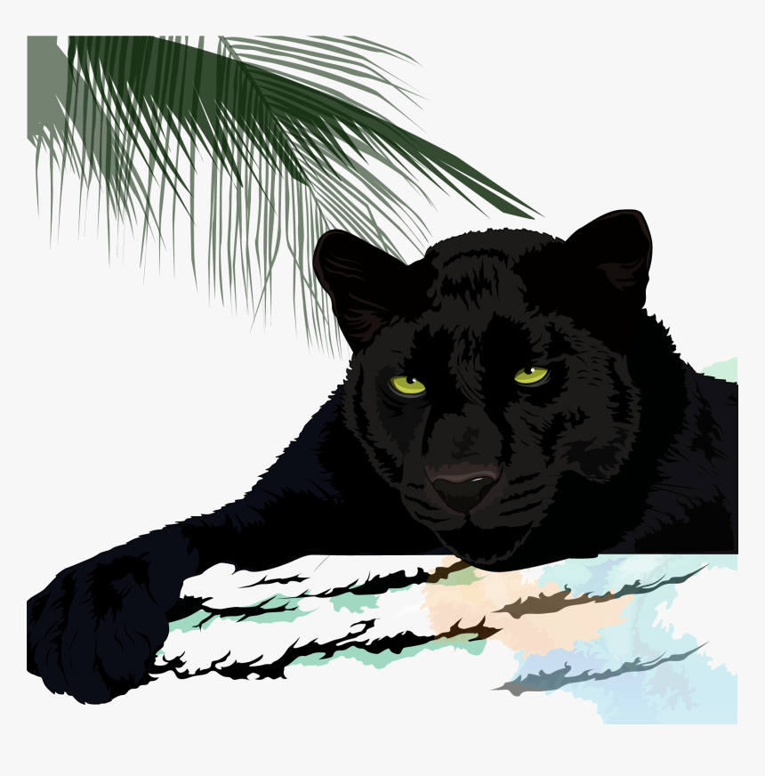 Black Cougar Leopard Jaguar - Jaguar Puma Black Panther Panther, HD Png Download, Free Download