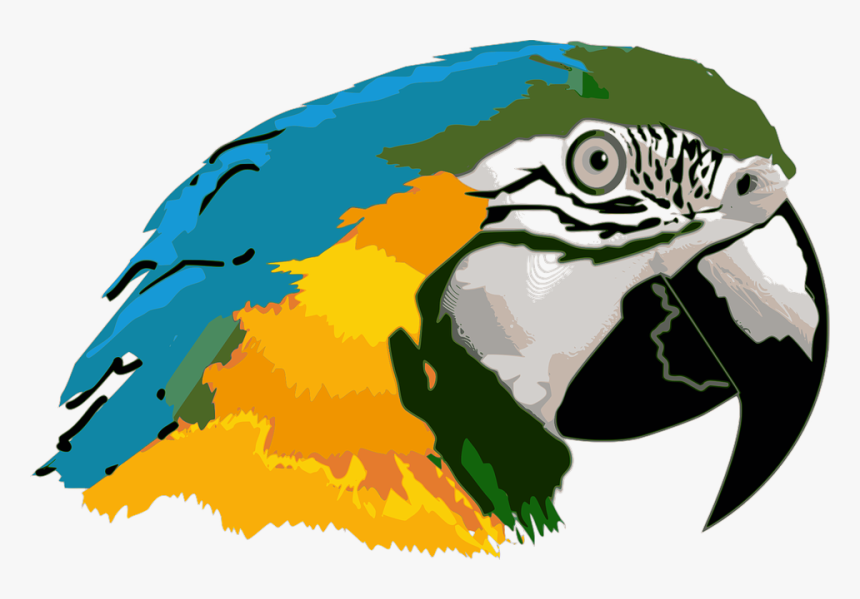 Clipart Of Ave And Png Do - Macaw, Transparent Png, Free Download