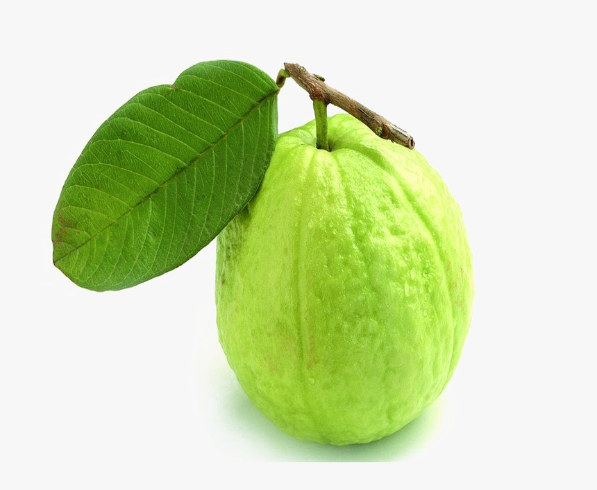 Green Guava Png Transparent Image - Guava Image Of Fruits, Png Download, Free Download