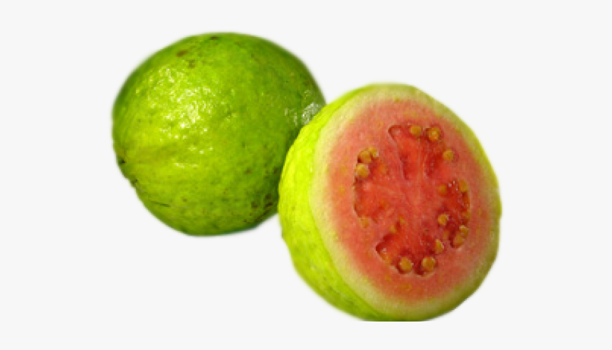 Guava Cliparts - Guava Clipart Png, Transparent Png, Free Download