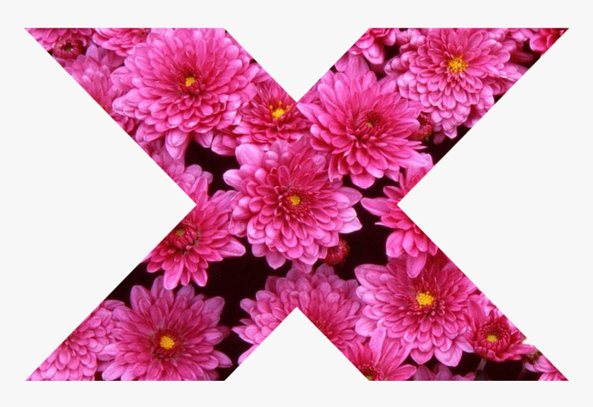 X X Cross Flower Pink Girly Pink Nature Collor Tumblr - Flowers, HD Png Download, Free Download