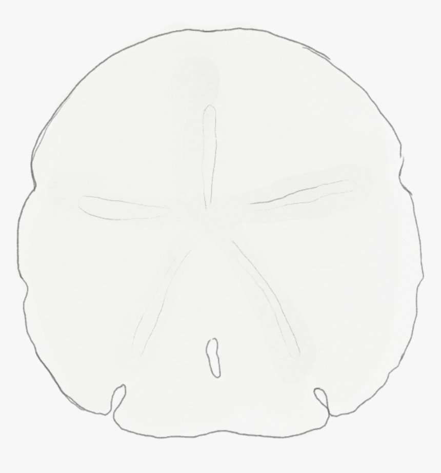 Sketch, HD Png Download, Free Download
