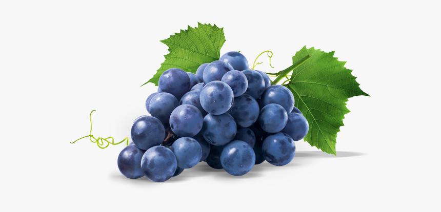 Uva Nera Png 6 » Png Image - Grapes Transparent Background, Png Download, Free Download