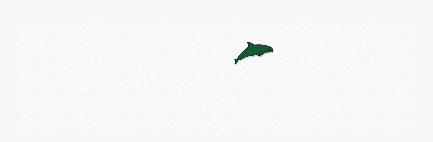 Polo Shirt Lacoste The Vaquita - Short-beaked Common Dolphin, HD Png Download, Free Download