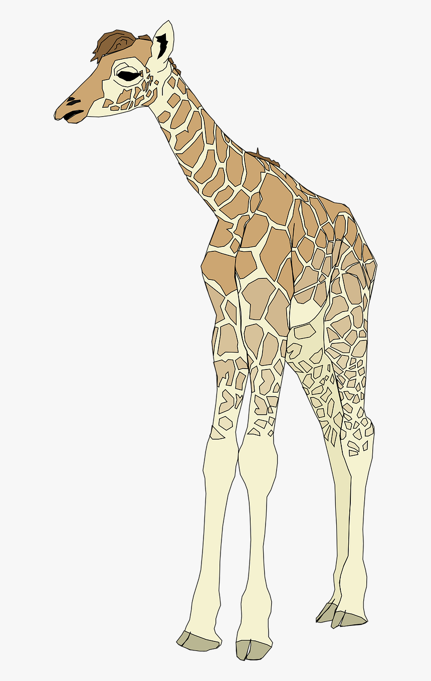 Vector Graphics,free Pictures, Free Photos, Free Images, - Giraffe Clip Art, HD Png Download, Free Download